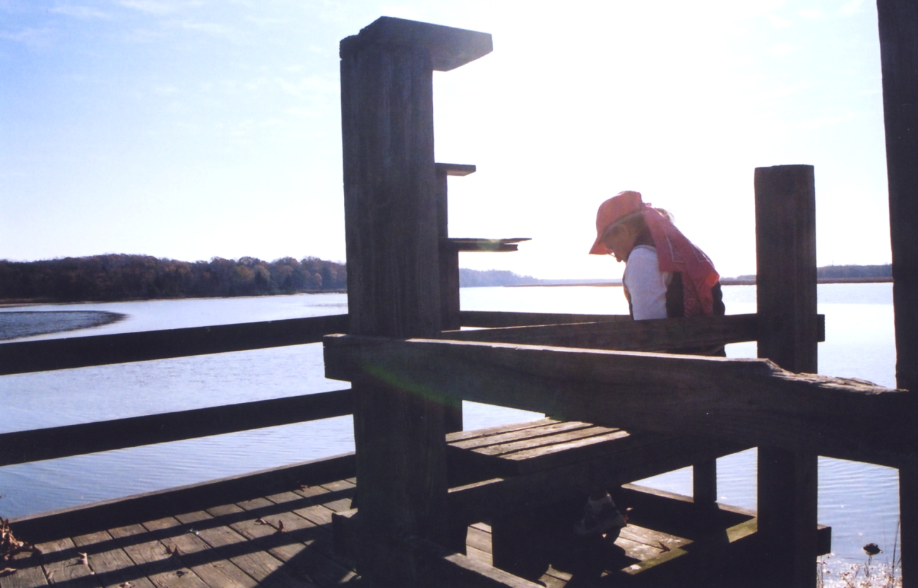 Catching a quiet moment on a warm fall afternoon at a public park fishing pier (Image credit: Mary Hollinger) Catching a quiet moment on a warm fall afternoon at a public park fishing pier