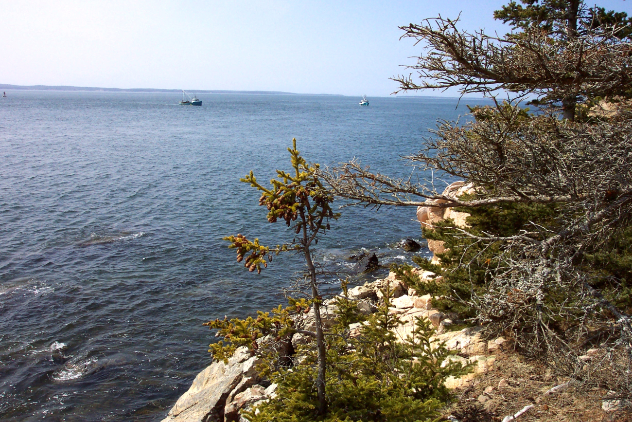 Lobster boats working off of Bass Harbor Head (Image credit: Captain Albert E. Theberge) Lobster boats working off of Bass Harbor Head