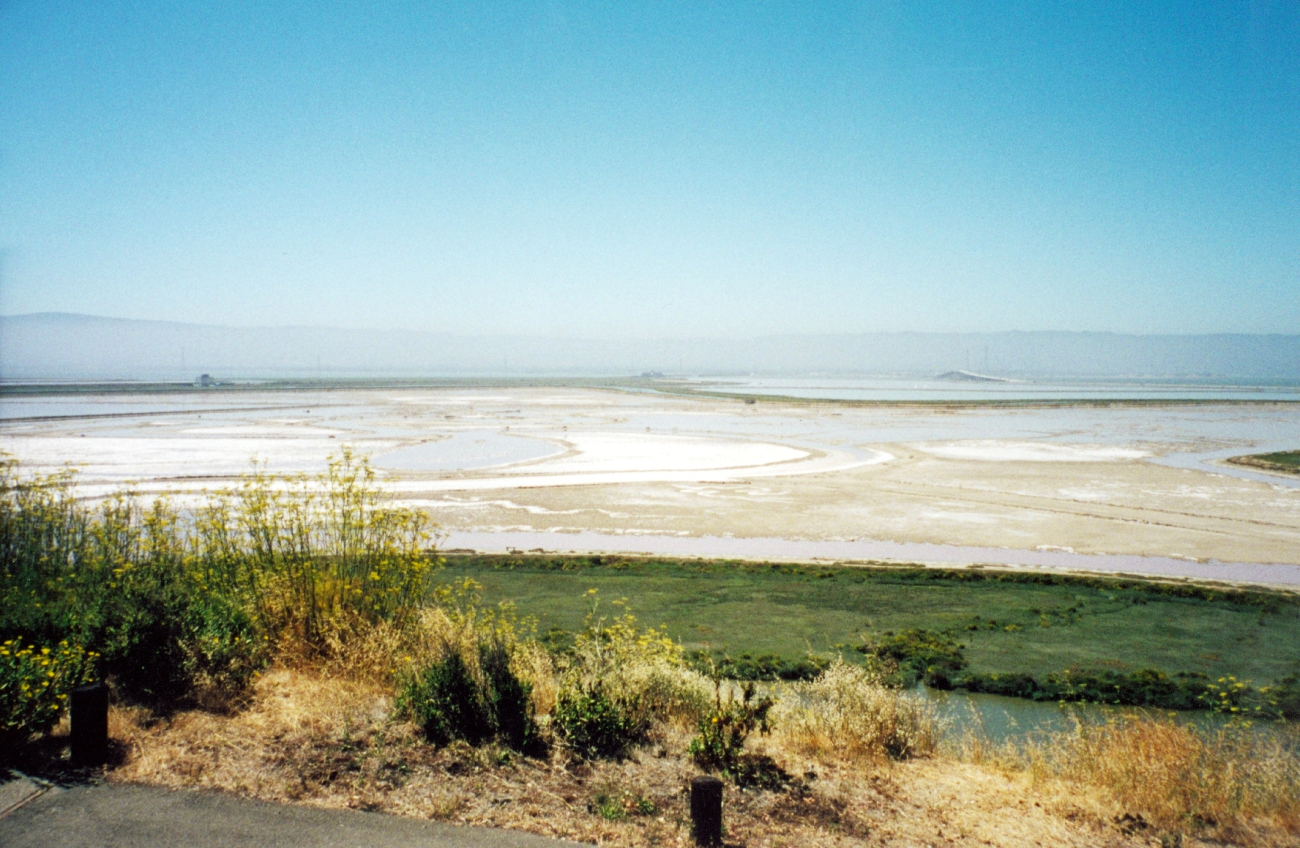 Salt flats at the south end of San Francisco Bay as seen from the Redwood Cityarea (Image credit: Julia Brownlee) Salt flats at the south end of San Francisco Bay as seen from the Redwood Cityarea