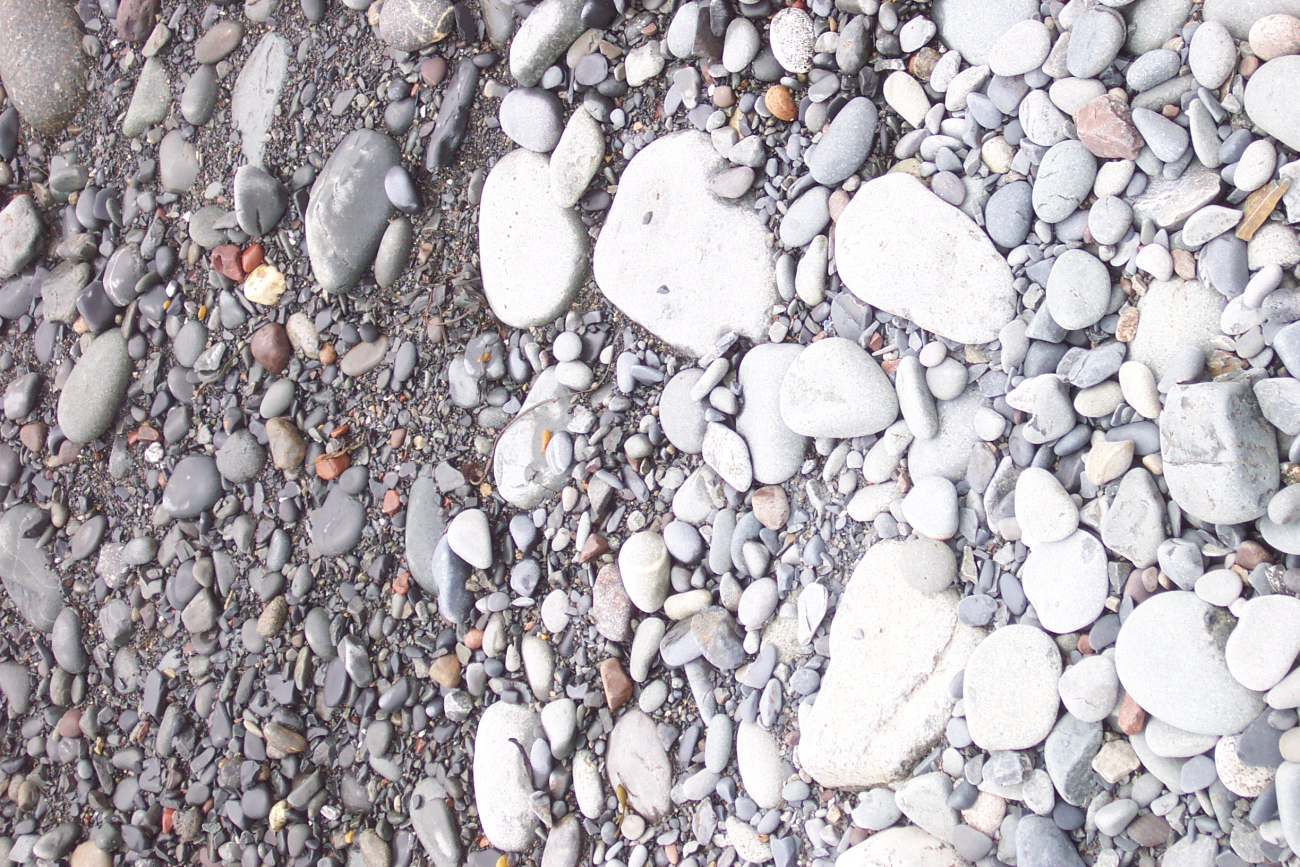 The high tide line is marked by wet rocks on the left and dry on theright on the cobble beach at West Quoddy Head (Image credit: Captain Albert E. Theberge) The high tide line is marked by wet rocks on the left and dry on theright on the cobble beach at West Quoddy Head
