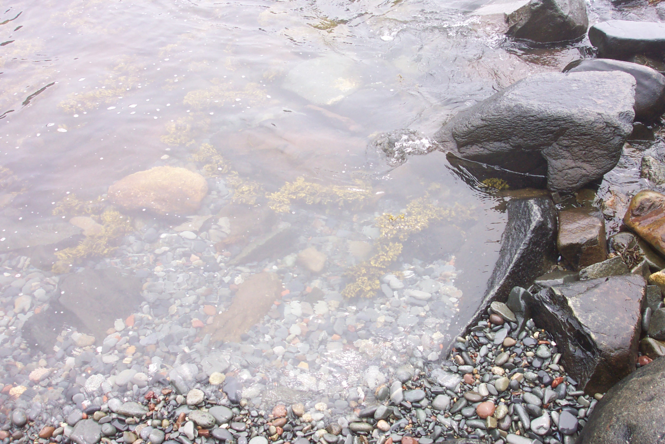 Looking into a tide pool at West Quoddy Head (Image credit: Captain Albert E. Theberge) Looking into a tide pool at West Quoddy Head