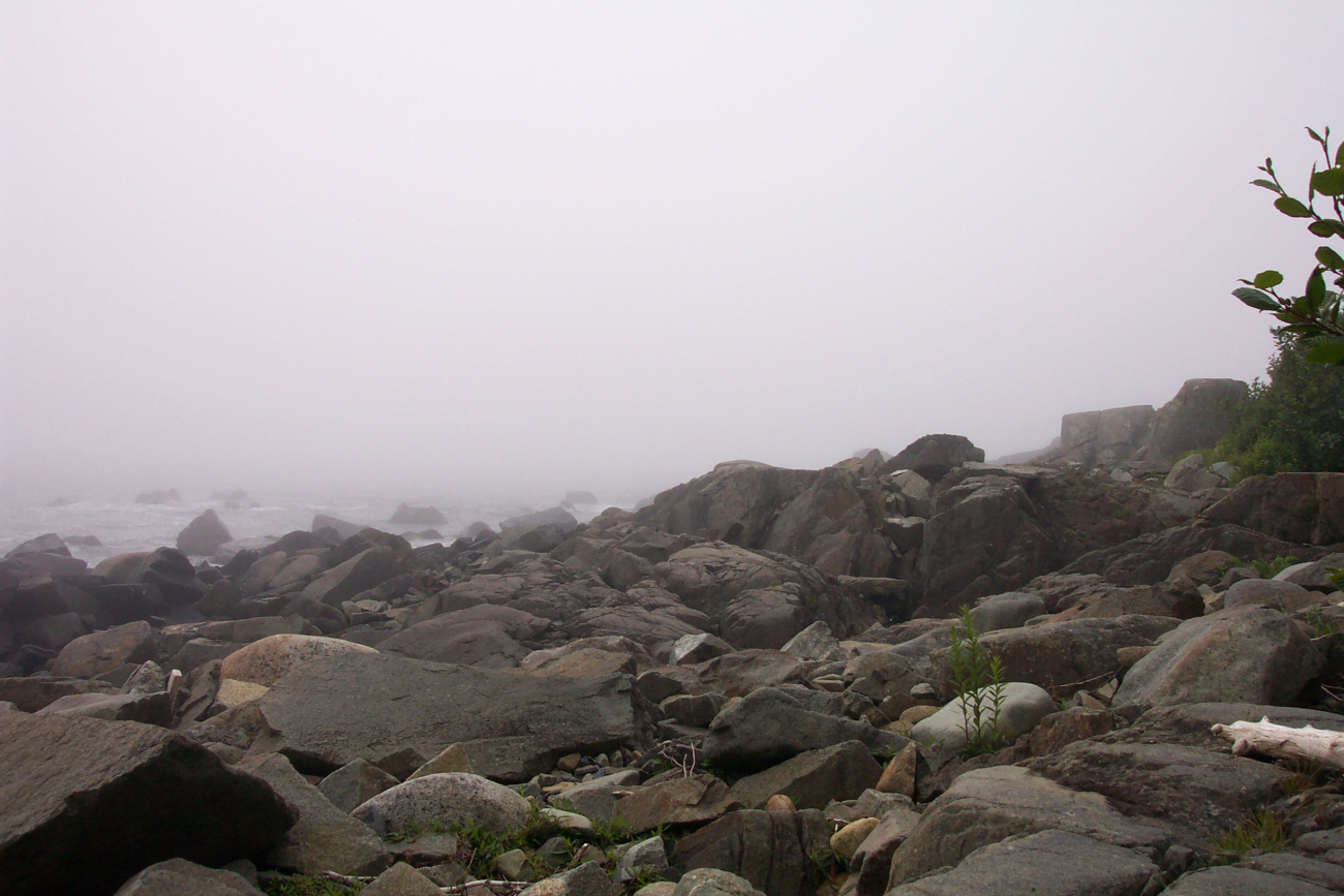 Part of a foggy rocky shoreline at West Quoddy Head (Image credit: Captain Albert E. Theberge) Part of a foggy rocky shoreline at West Quoddy Head