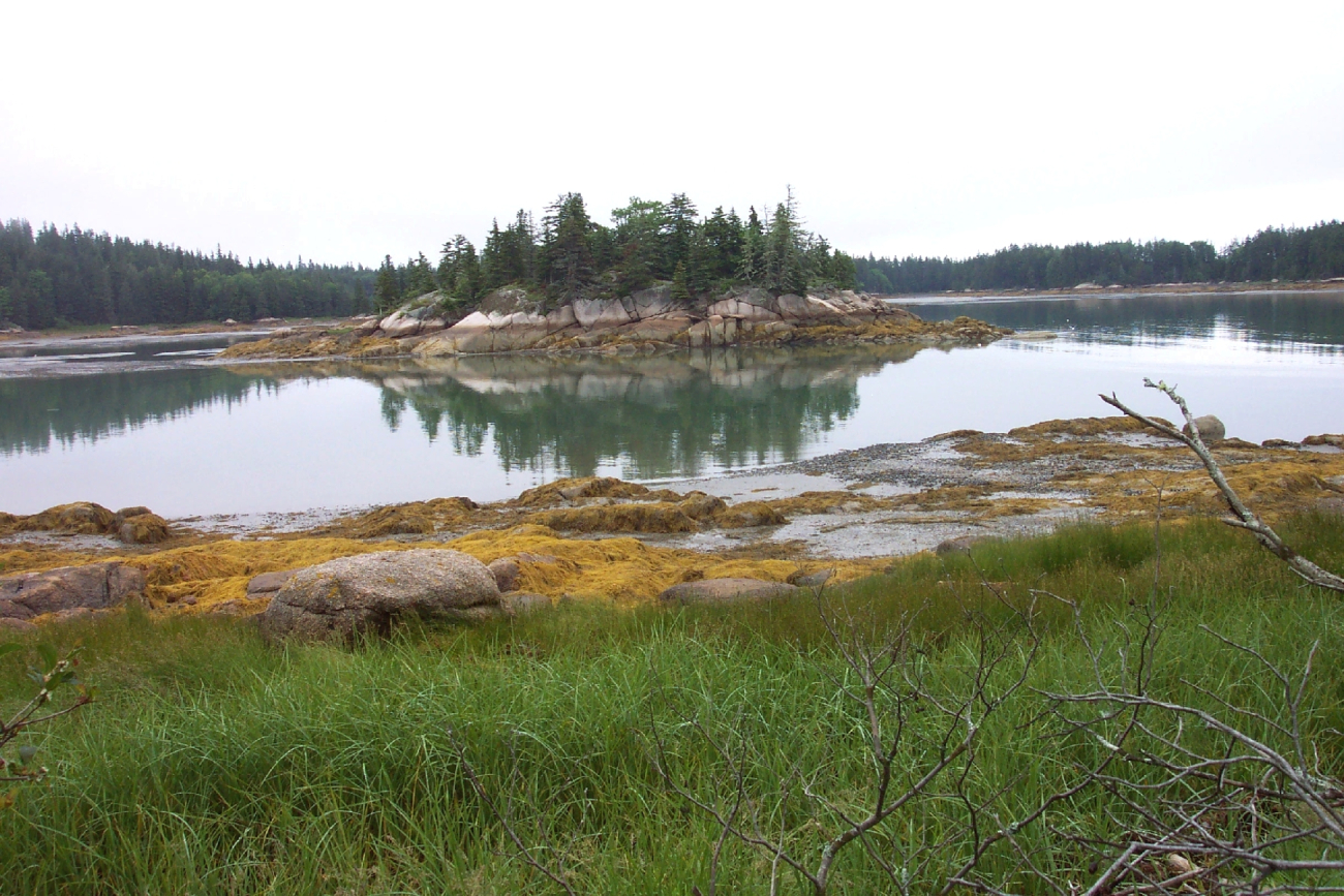 A rocky islet reflected in the low tide waters (Image credit: Captain Albert E. Theberge) A rocky islet reflected in the low tide waters