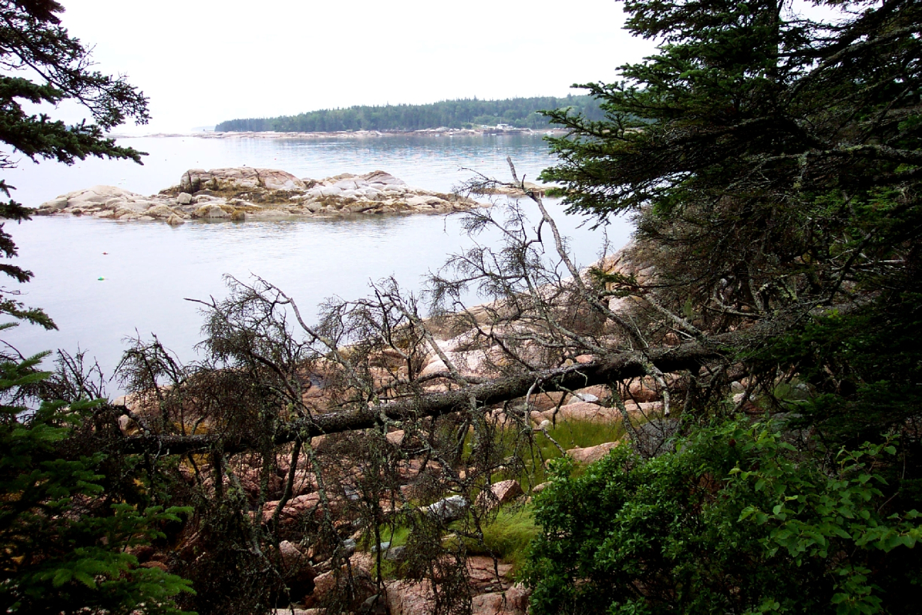 A rocky islet offshore from Edgar Tennis Preserve (Image credit: Captain Albert E. Theberge) A rocky islet offshore from Edgar Tennis Preserve