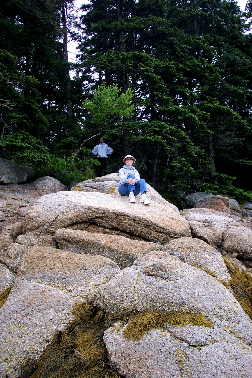 Seaweed, granite boulders, and evergreens make for a pleasant setting (Image credit: Captain Albert E. Theberge) Seaweed, granite boulders, and evergreens make for a pleasant setting