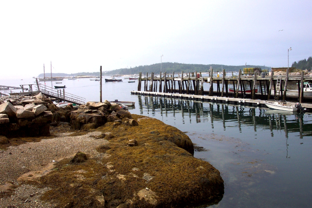 The harbor at Stonington Maine on the south end of Deer Isle (Image credit: Captain Albert E. Theberge) The harbor at Stonington Maine on the south end of Deer Isle