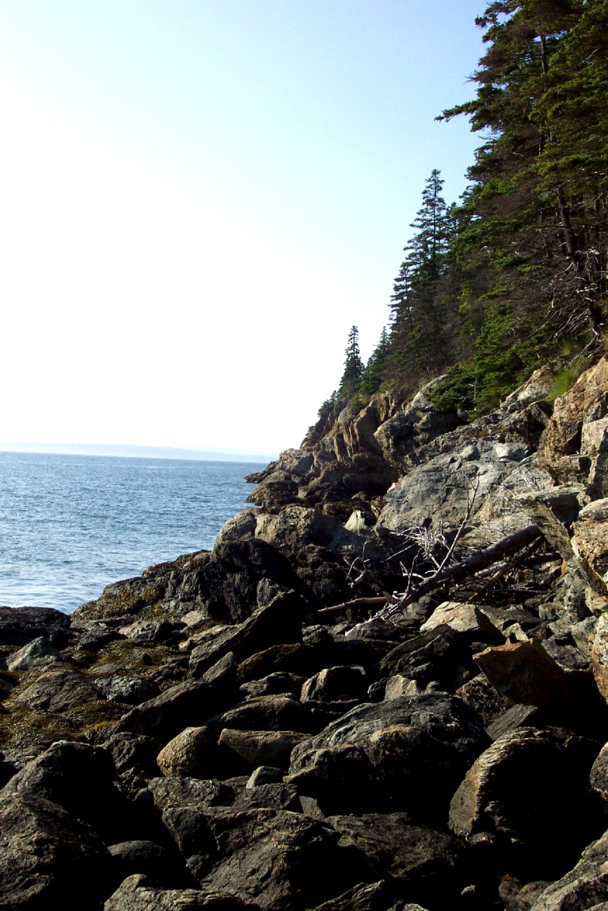 Along the shore at the base of Dices Head (Image credit: Captain Albert E. Theberge) Along the shore at the base of Dices Head