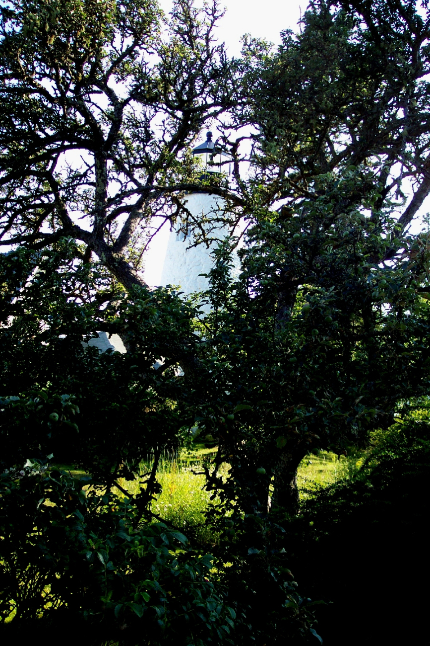 Dices Head Lighthouse seen through the trees (Image credit: Captain Albert E. Theberge) Dices Head Lighthouse seen through the trees