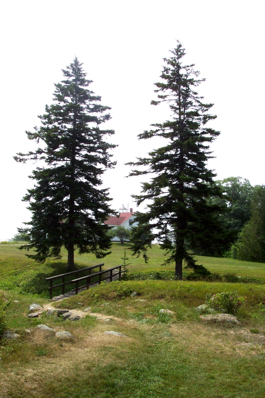 The Fort Point Lighthouse framed by two trees (Image credit: Captain Albert E. Theberge) The Fort Point Lighthouse framed by two trees