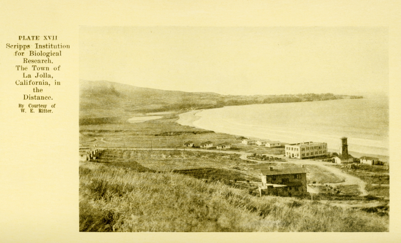 Scripps Institution for Biological Research at La Jolla prior to development line2967.jpg Scripps Institution for Biological Research at La Jolla prior to development