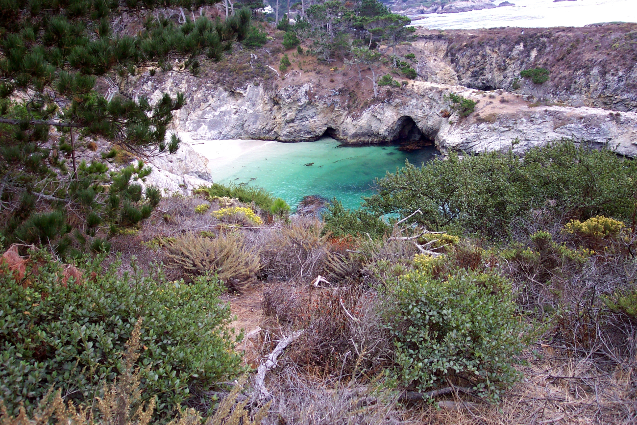 China Cove at the south end of Point Lobos State Reserve (Image credit: Captain Albert E. Theberge) China Cove at the south end of Point Lobos State Reserve