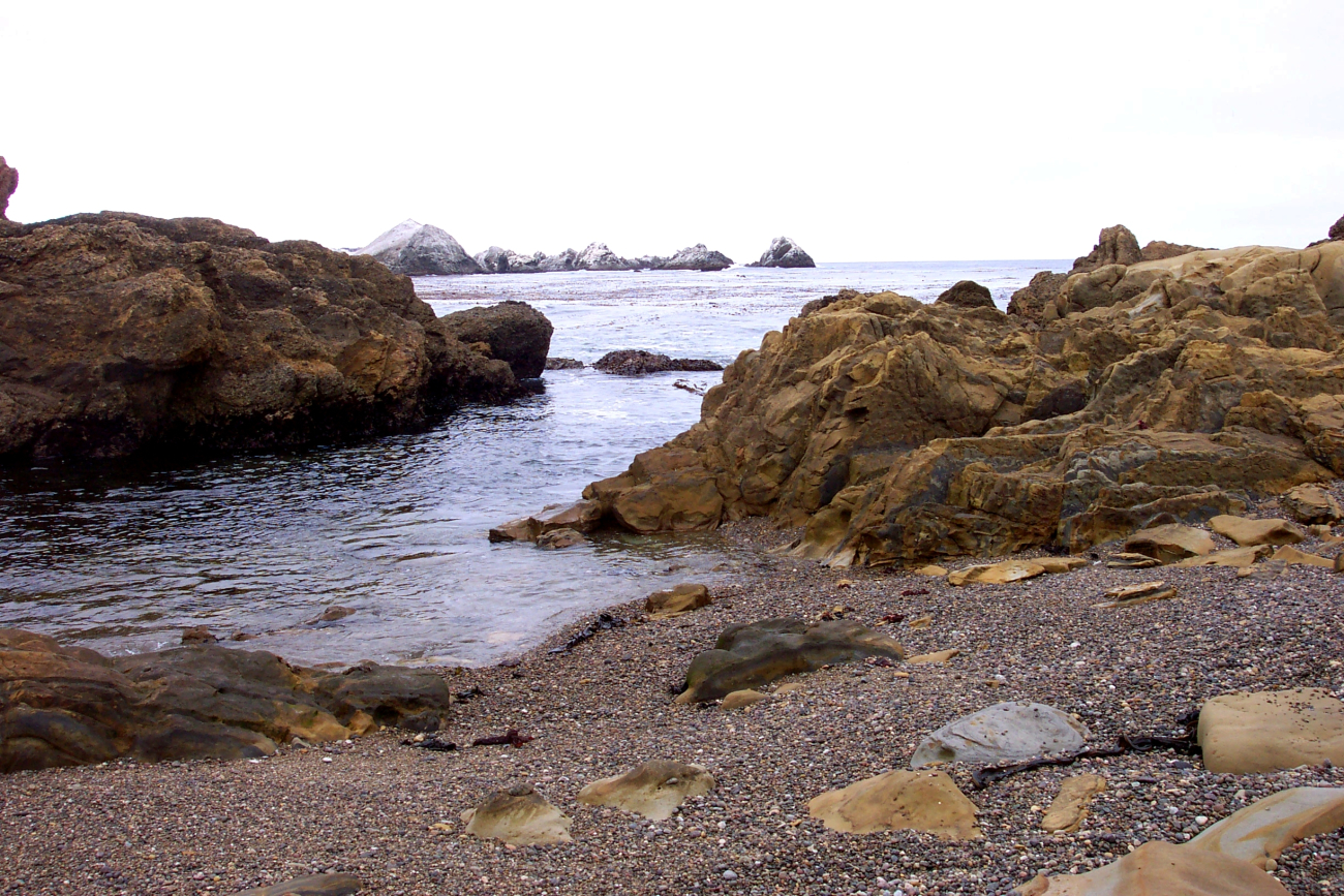 A quiet cove at Point Lobos looking toward Bird Rock (Image credit: Captain Albert E. Theberge) A quiet cove at Point Lobos looking toward Bird Rock