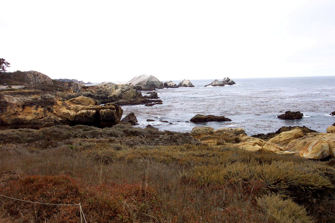 Looking toward Bird Rock at Point Lobos (Image credit: Captain Albert E. Theberge) Looking toward Bird Rock at Point Lobos