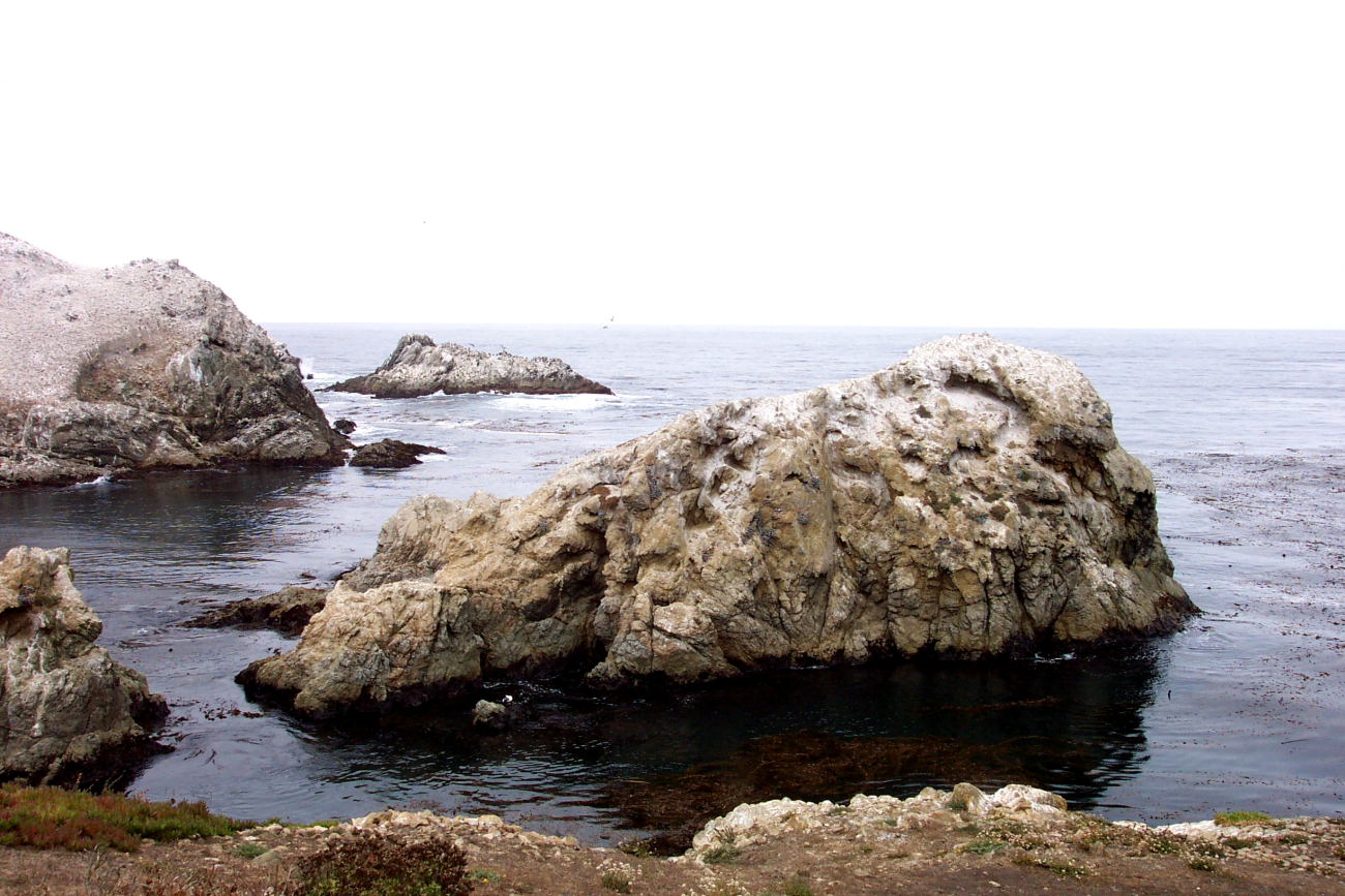 Bird Island Rocks at south end of Point Lobos State Reserve (Image credit: Captain Albert E. Theberge) Bird Island Rocks at south end of Point Lobos State Reserve
