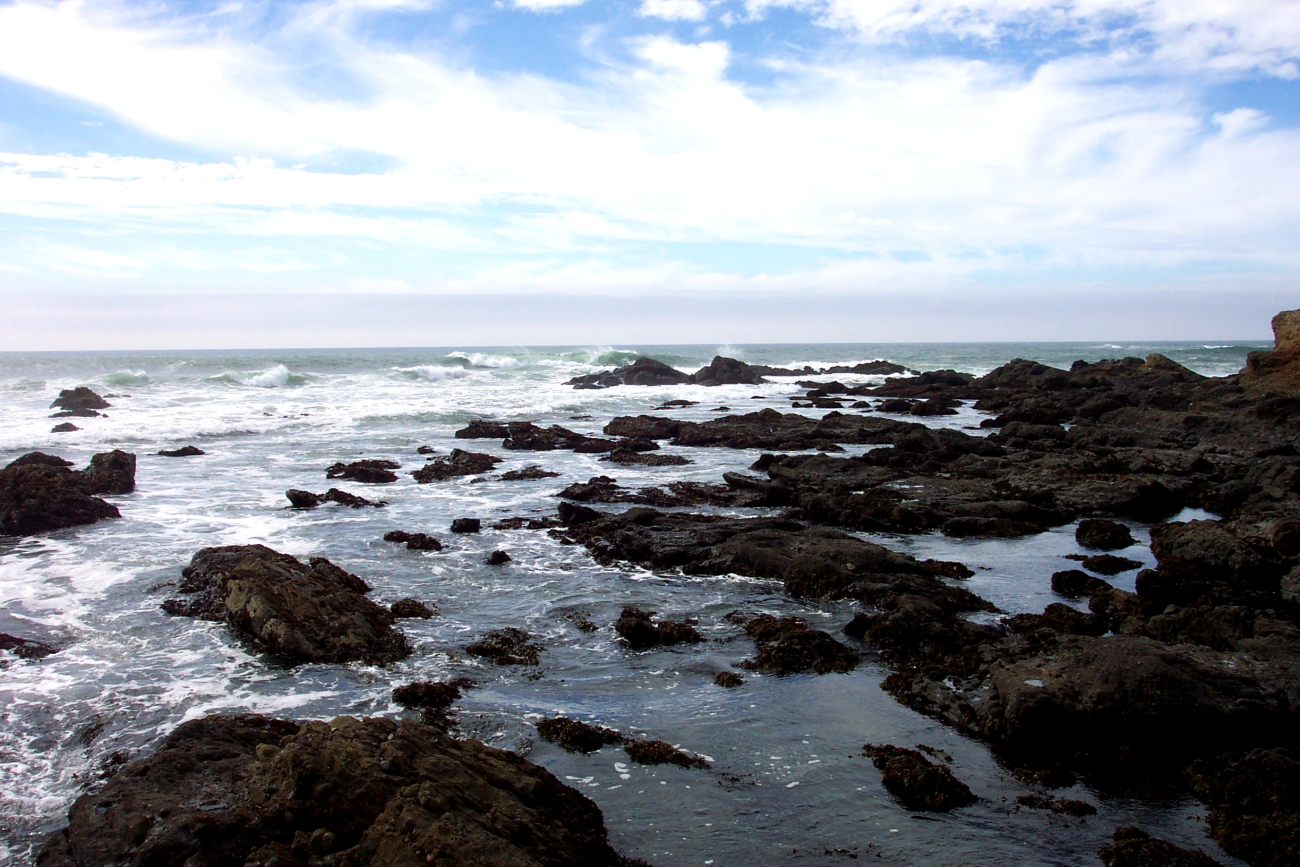 Rocky shore, tide pools and surf north of Pigeon Point (Image credit: Captain Albert E. Theberge) Rocky shore, tide pools and surf north of Pigeon Point