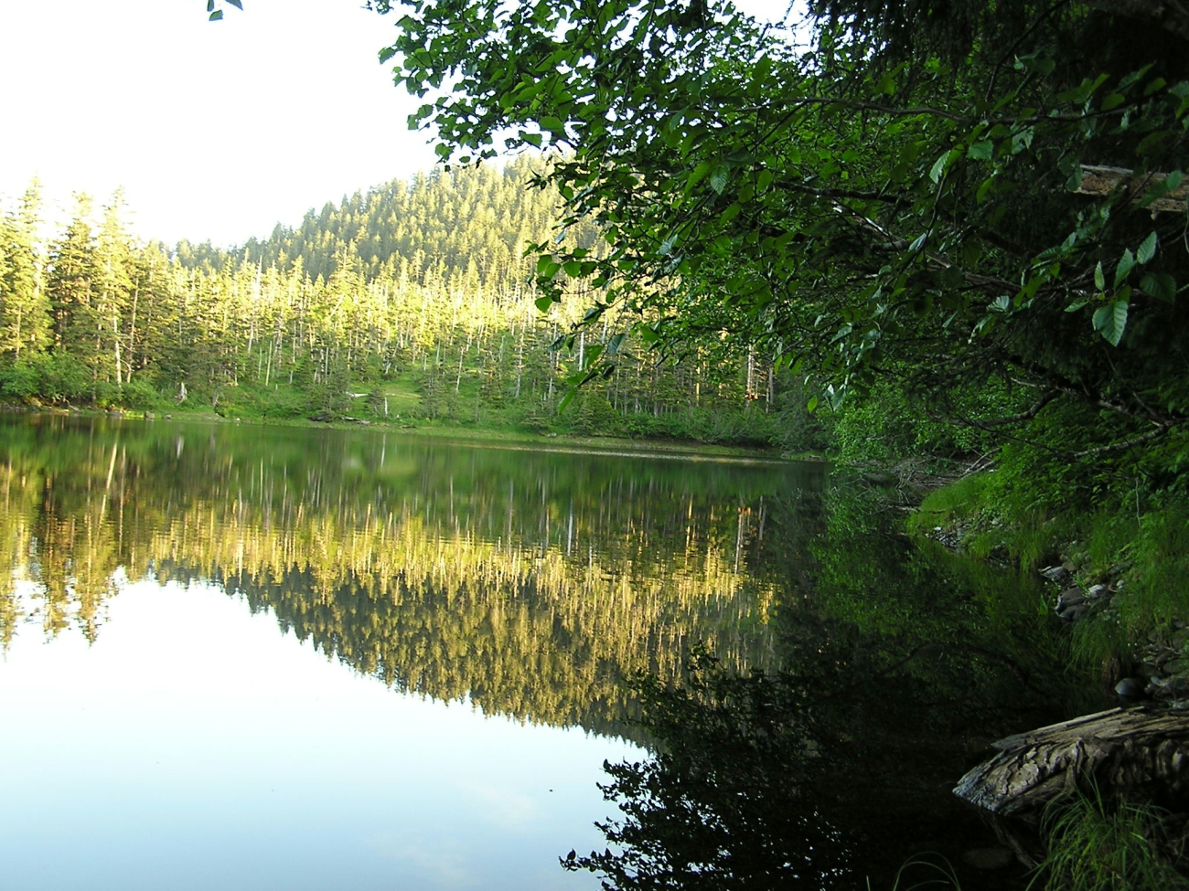 Reflections on a sheltered cove in vicinity of Elrington Point (Image credit: Lieutenant (j.g.) Steve Snow) Reflections on a sheltered cove in vicinity of Elrington Point
