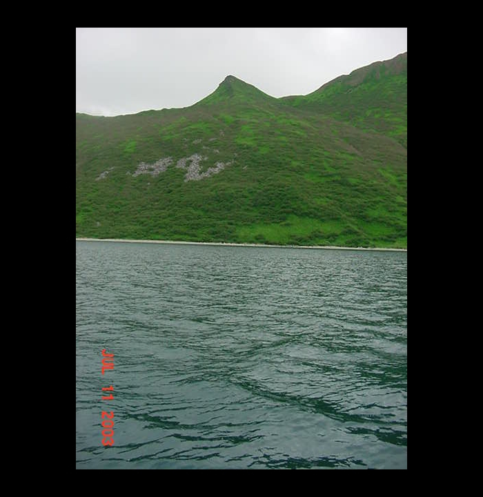 Fish Bay, an offshoot of Kuiutka Bay, out past Semidi Islands on AlaskaPeninsula (Image credit: Lieutenant (j.g.) Steve Snow) Fish Bay, an offshoot of Kuiutka Bay, out past Semidi Islands on AlaskaPeninsula
