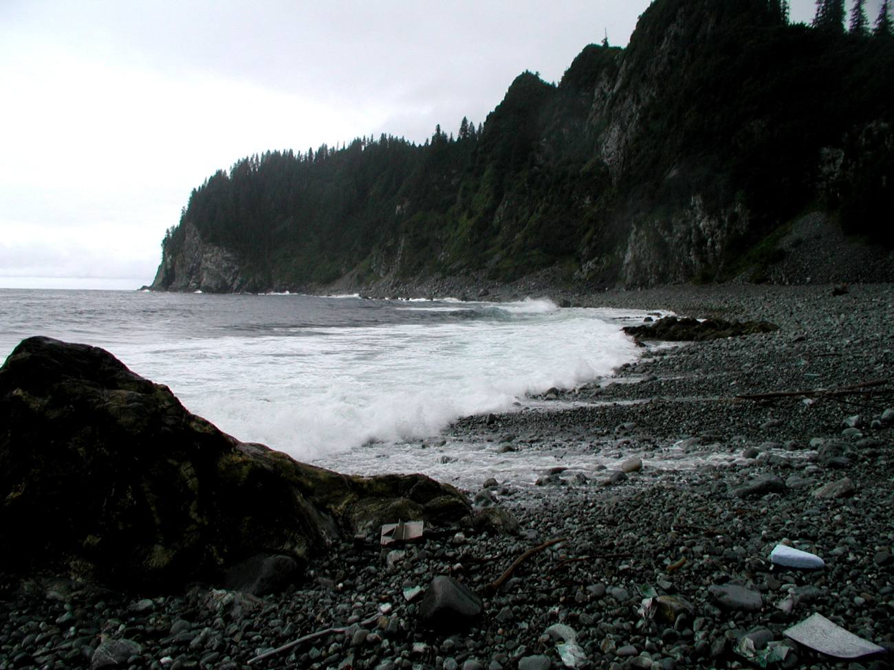 The cobble beach at Point Elrington (Image credit: Lieutenant (j.g.) Steve Snow) The cobble beach at Point Elrington