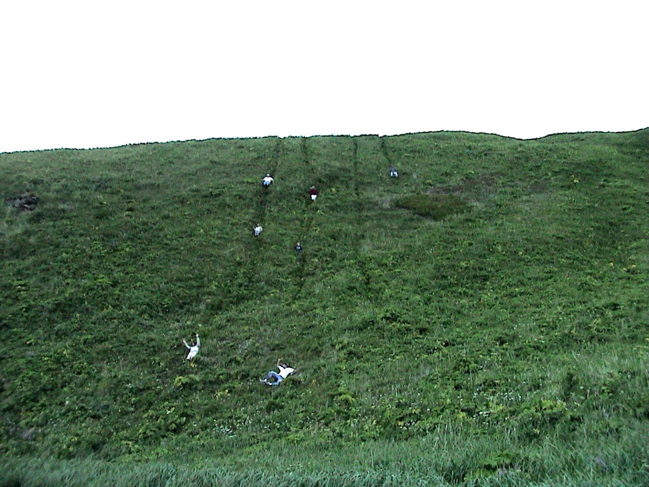 Sledding on the posterior portion of the anatomy at Gunnysack Island (Image credit: Lieutenant (j.g.) Steve Snow) Sledding on the posterior portion of the anatomy at Gunnysack Island