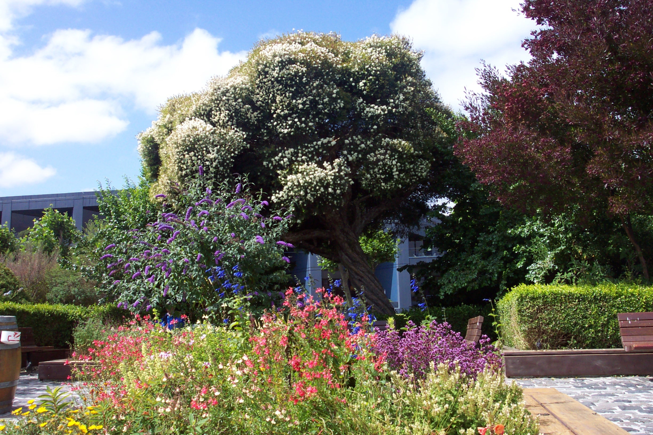 One of many public gardens beautifying San Francisco (Image credit: Captain Albert E. Theberge) One of many public gardens beautifying San Francisco
