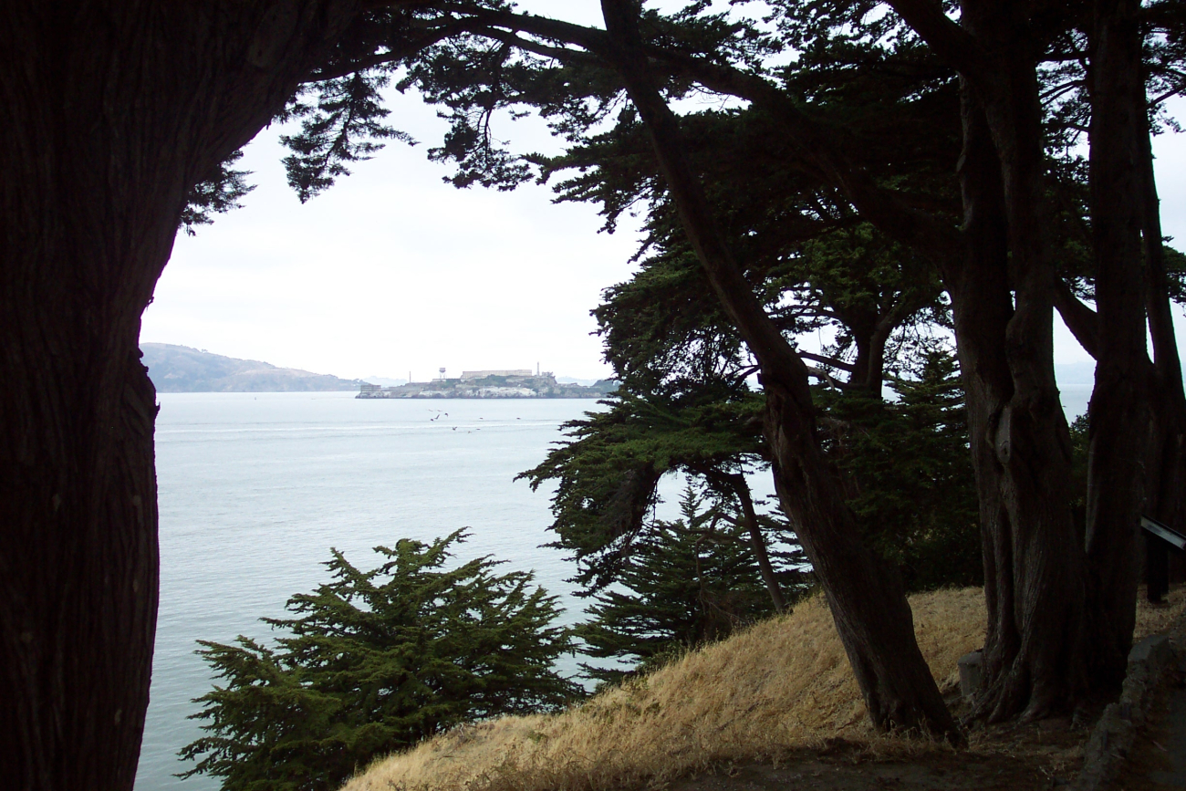 Alcatraz Island framed between two cypress trees at Fort Mason (Image credit: Captain Albert E. Theberge) Alcatraz Island framed between two cypress trees at Fort Mason