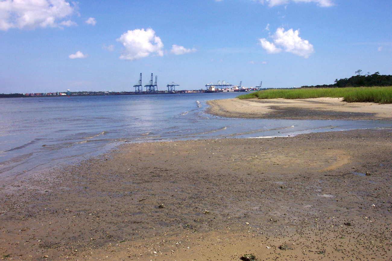 Looking across Wando River shoreline at low tide to the container terminal fromDaniel Island (Image credit: Captain Albert E. Theberge) Looking across Wando River shoreline at low tide to the container terminal fromDaniel Island
