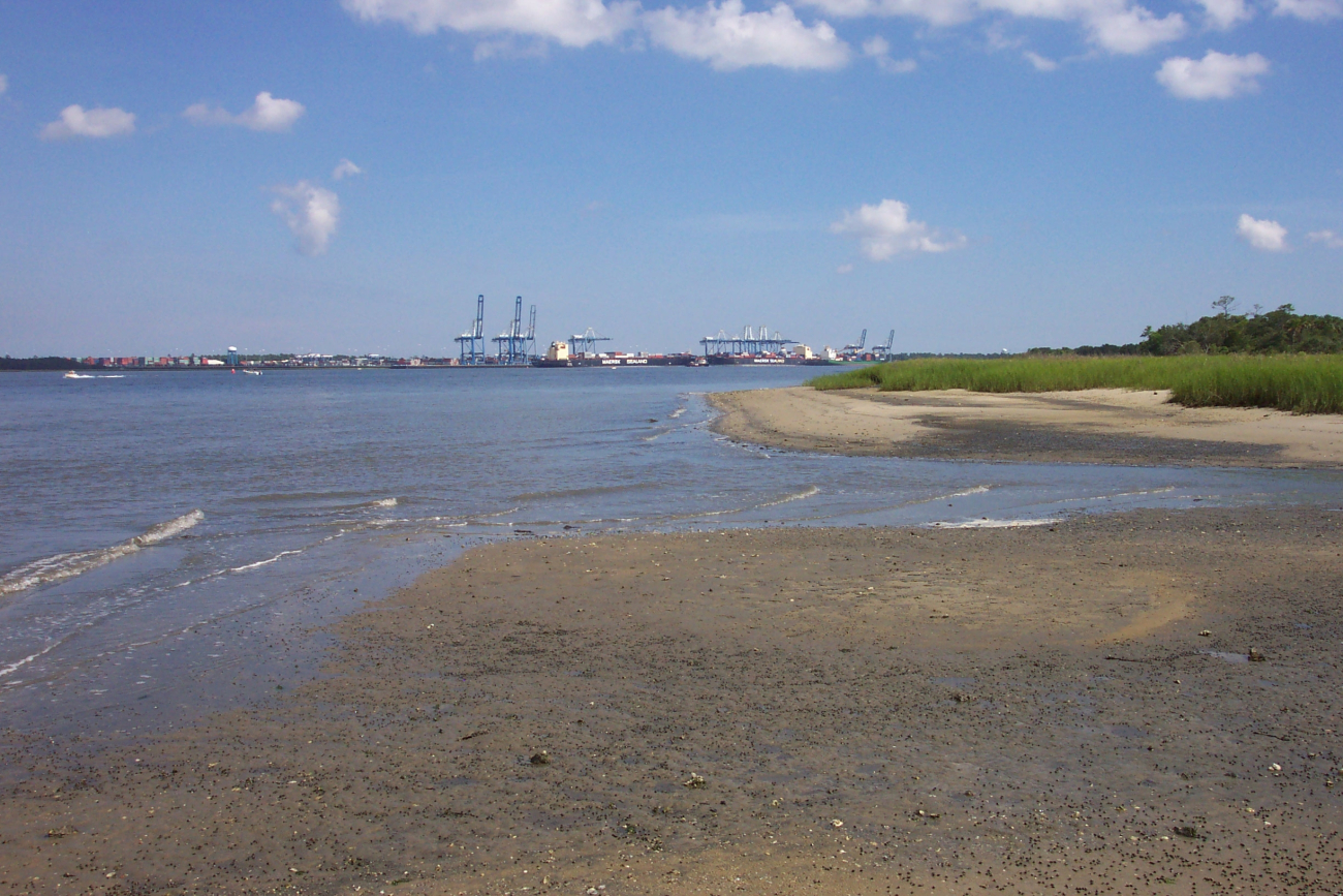 The SEALAND COMMITMENT backing into its berth at the Wando River ContainerTerminal (Image credit: Captain Albert E. Theberge) The SEALAND COMMITMENT backing into its berth at the Wando River ContainerTerminal
