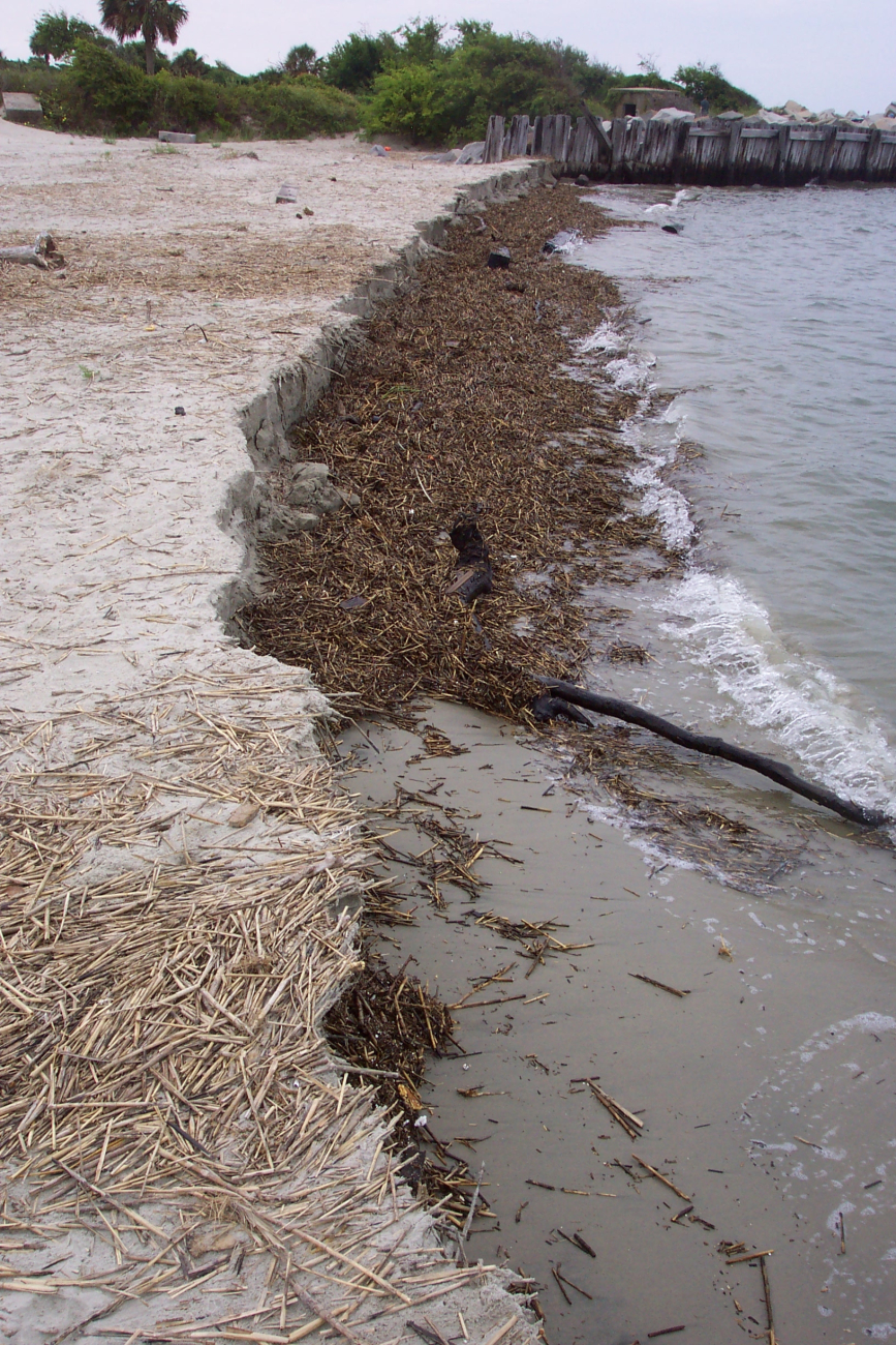 Erosion near Fort Moultrie (Image credit: Captain Albert E. Theberge) Erosion near Fort Moultrie