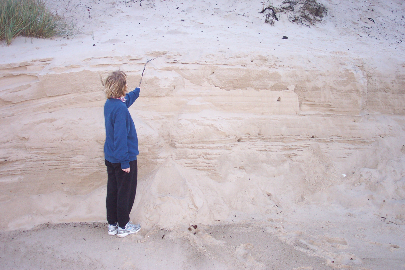 Erosion from fall storms affecting part of the Cape Henry dunes line3443.jpg Erosion from fall storms affecting part of the Cape Henry dunes