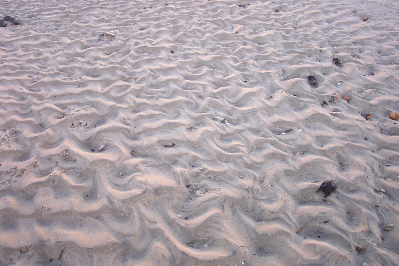 Ripple marks in a tidal channel at low tide at Cape Henry line3446.jpg Ripple marks in a tidal channel at low tide at Cape Henry