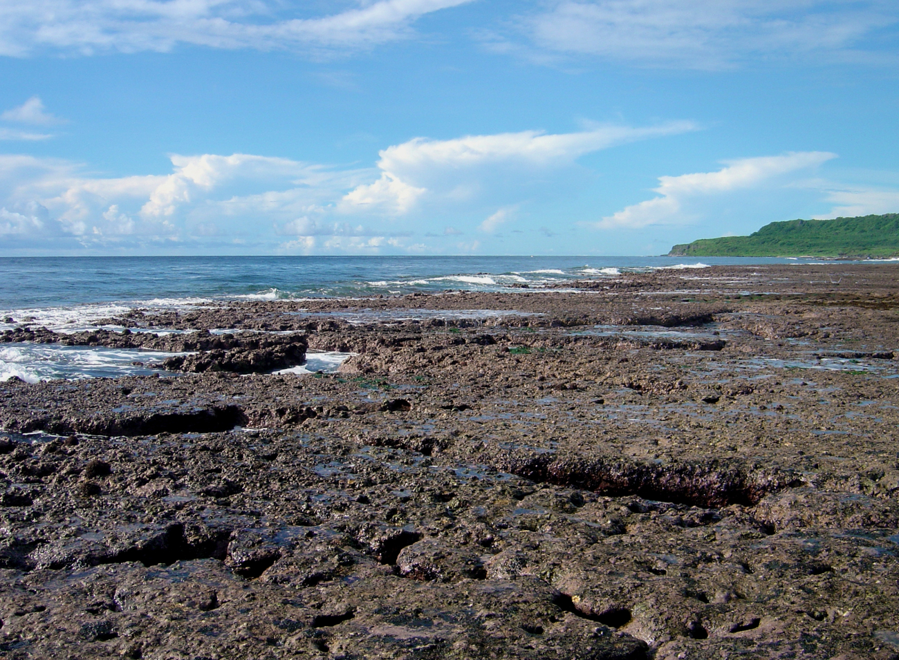 Uncovered reef flat with intervening channels at low tide on the Guam coastline (Image credit: David Burdick) Uncovered reef flat with intervening channels at low tide on the Guam coastline