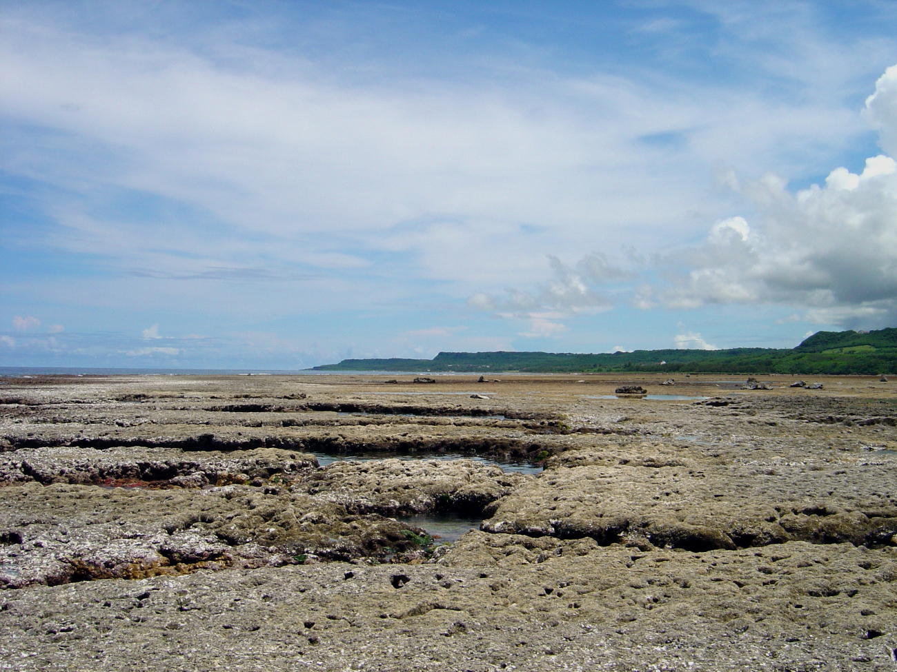Brown algae in channels while reef flat appears devoid of growth at low tideon Guam coastline (Image credit: David Burdick) Brown algae in channels while reef flat appears devoid of growth at low tideon Guam coastline
