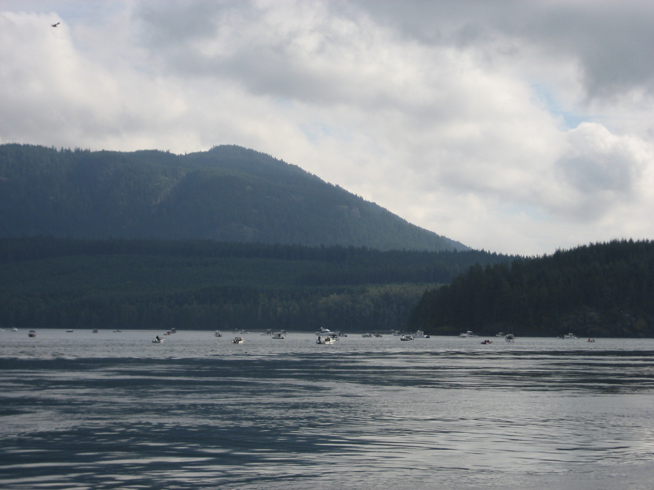 Salmon fishing along the Inside Passage (Image credit: Second Mate Michael Theberge) Salmon fishing along the Inside Passage
