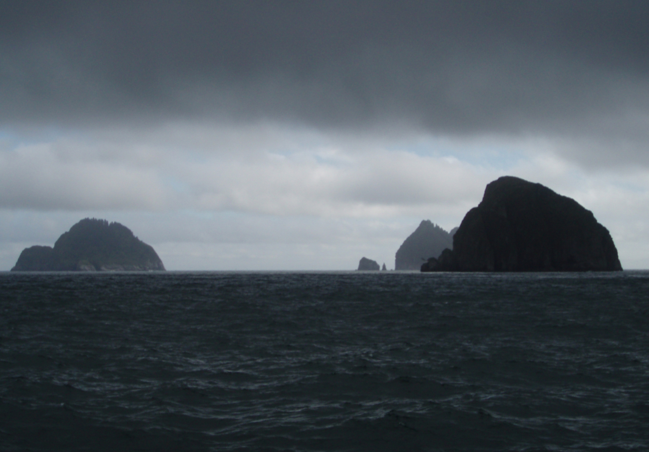 A stormy day on the Gulf of Alaska (Image credit: Dr. Terry McTigue) A stormy day on the Gulf of Alaska
