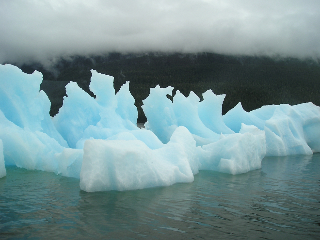 An iceberg floating out of Tracy Arm (Image credit: Dr. Terry McTigue) An iceberg floating out of Tracy Arm