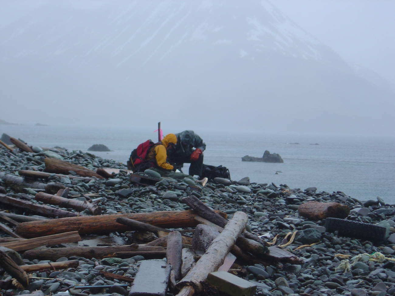 Beach survey team inspecting shoreline on a nasty day (Image credit: Doug Helton) Beach survey team inspecting shoreline on a nasty day