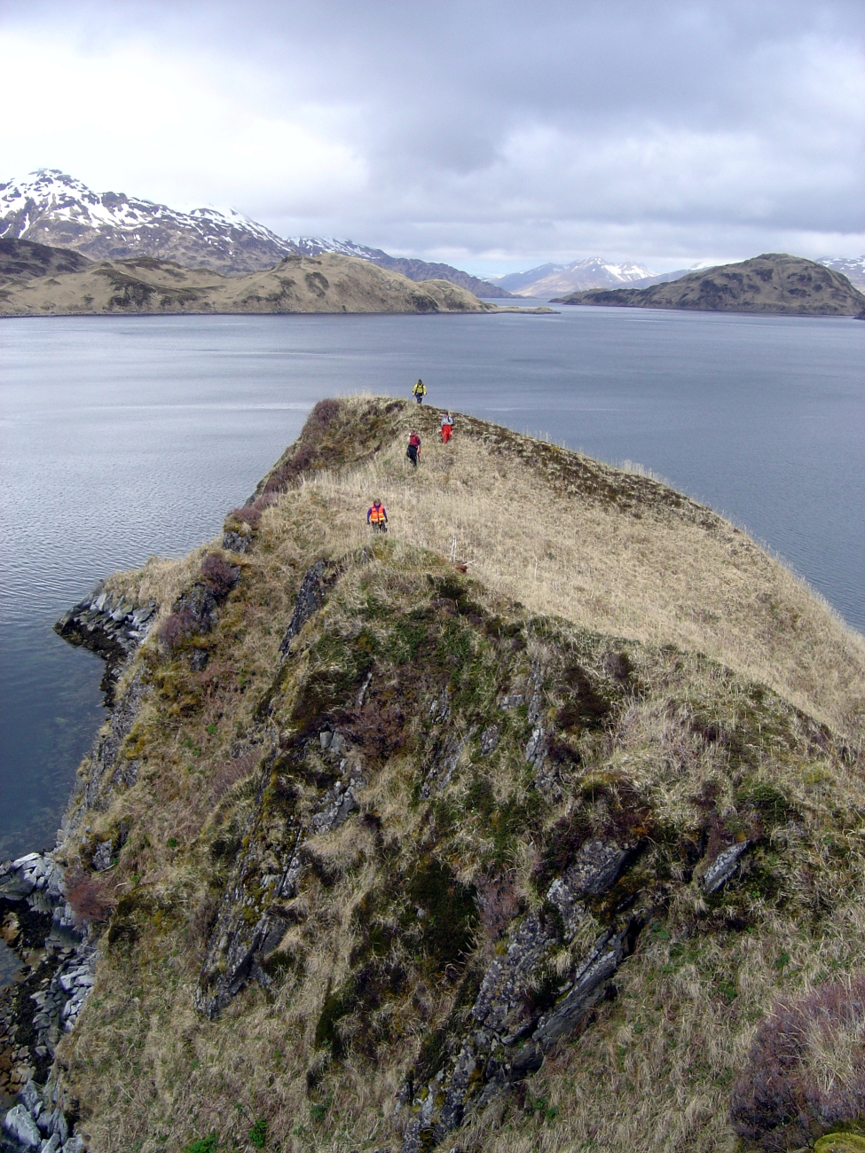 Shoreline survey team on Unalaska Island (Image credit: Doug Helton) Shoreline survey team on Unalaska Island