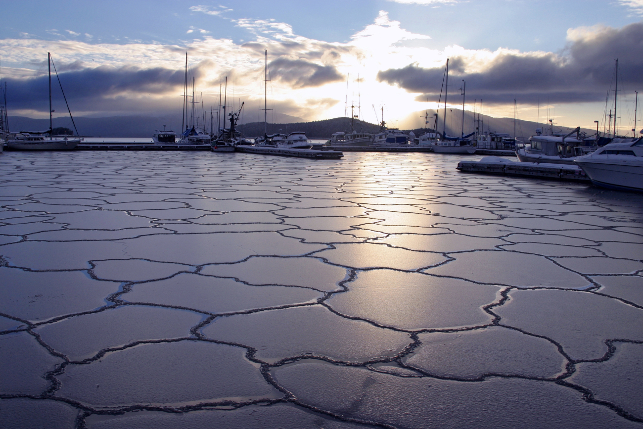 Ice-covered Auke Bay Harbor in winter (Image credit: David Csepp) Ice-covered Auke Bay Harbor in winter