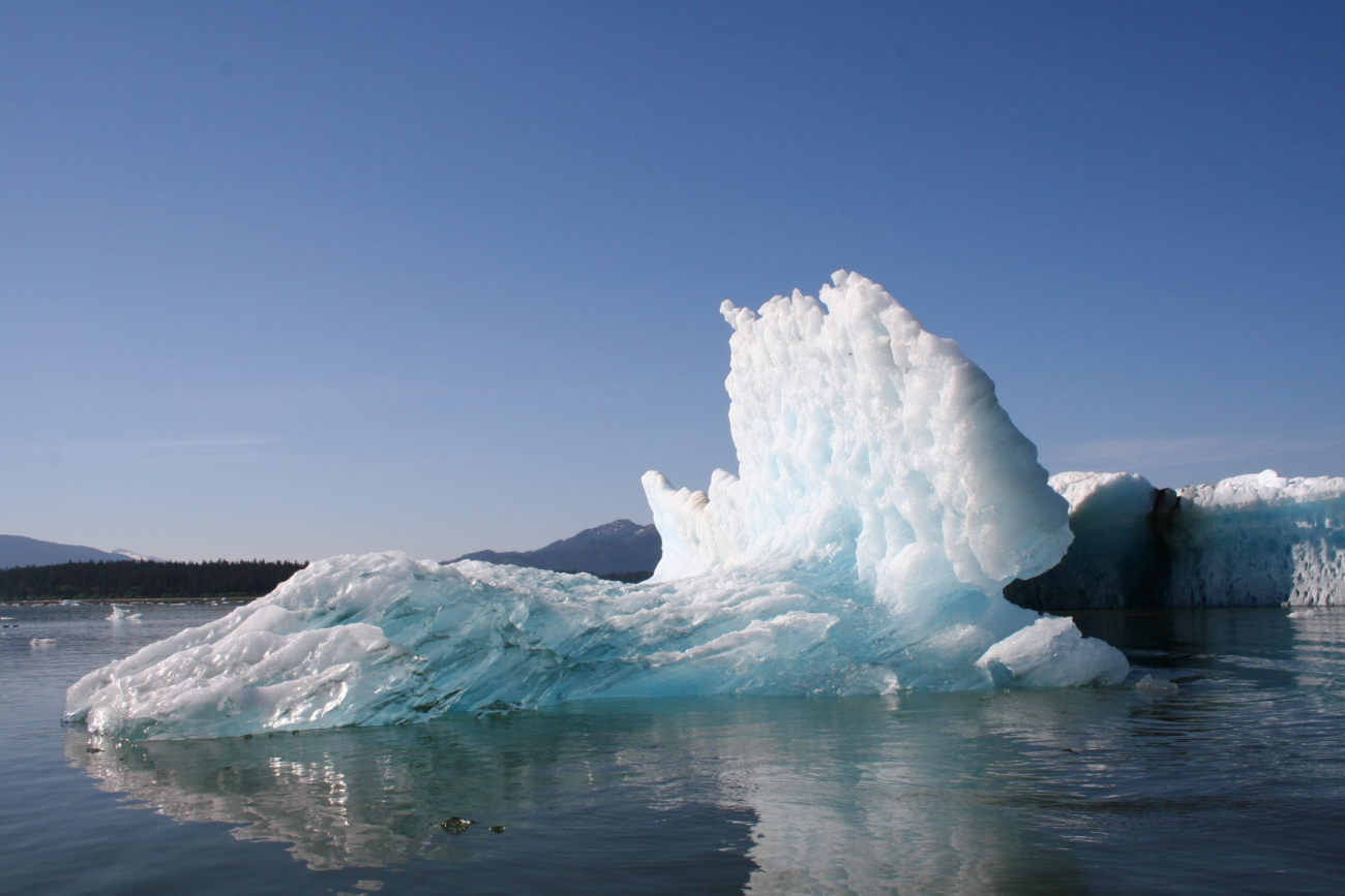 Small iceberg from the LeConte Glacier (Image credit: Aleria Jensen NMFS/AKR/AKRO/PRD) Small iceberg from the LeConte Glacier