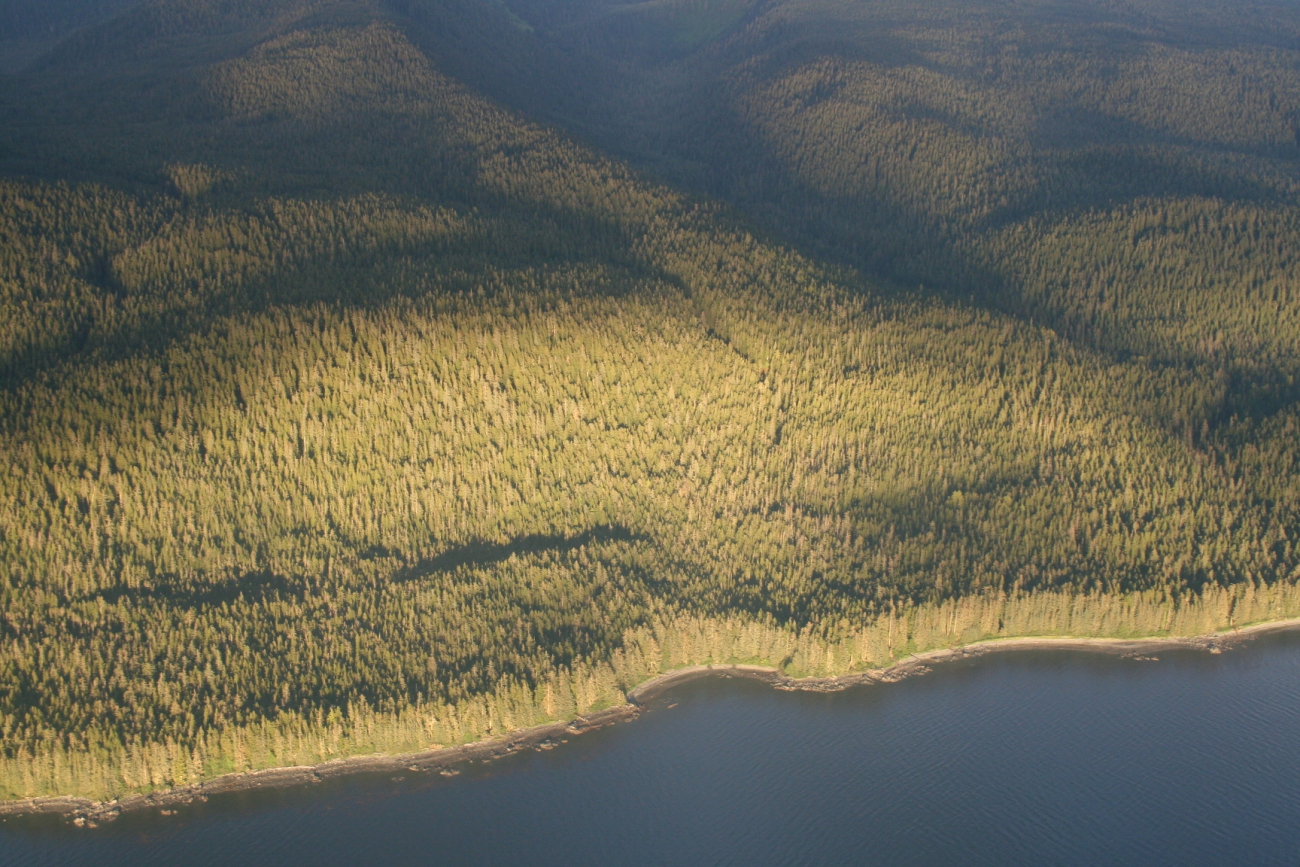 The timbered shores of Admiralty Island as seen from the air (Image credit: Aleria Jensen NMFS/AKR/AKRO/PRD) The timbered shores of Admiralty Island as seen from the air