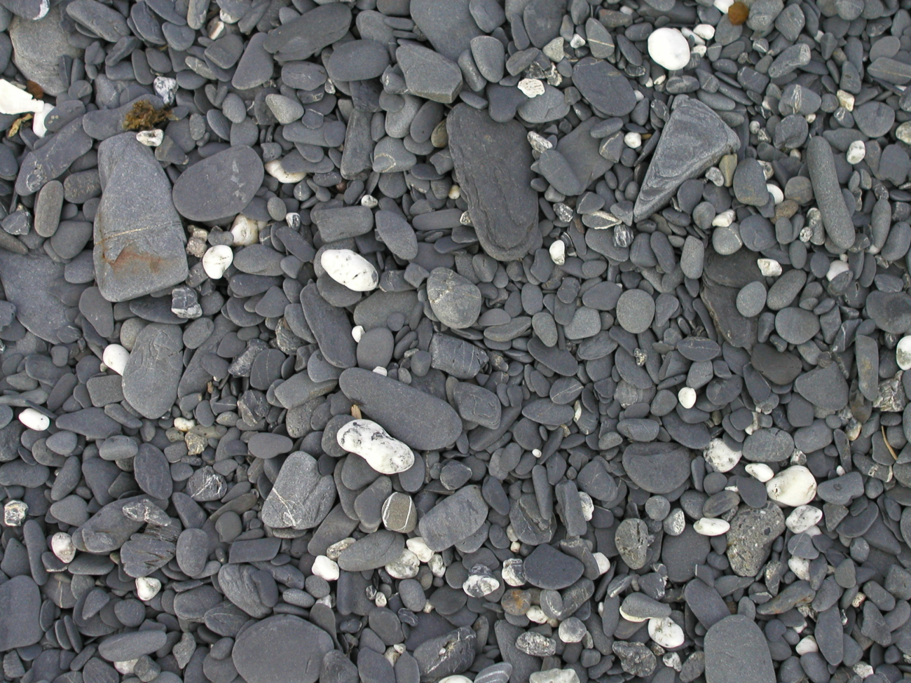 A cobble beach (Image credit: Collection of Frank Cantelas, NOAA/OAR/OER | John Adams) A cobble beach