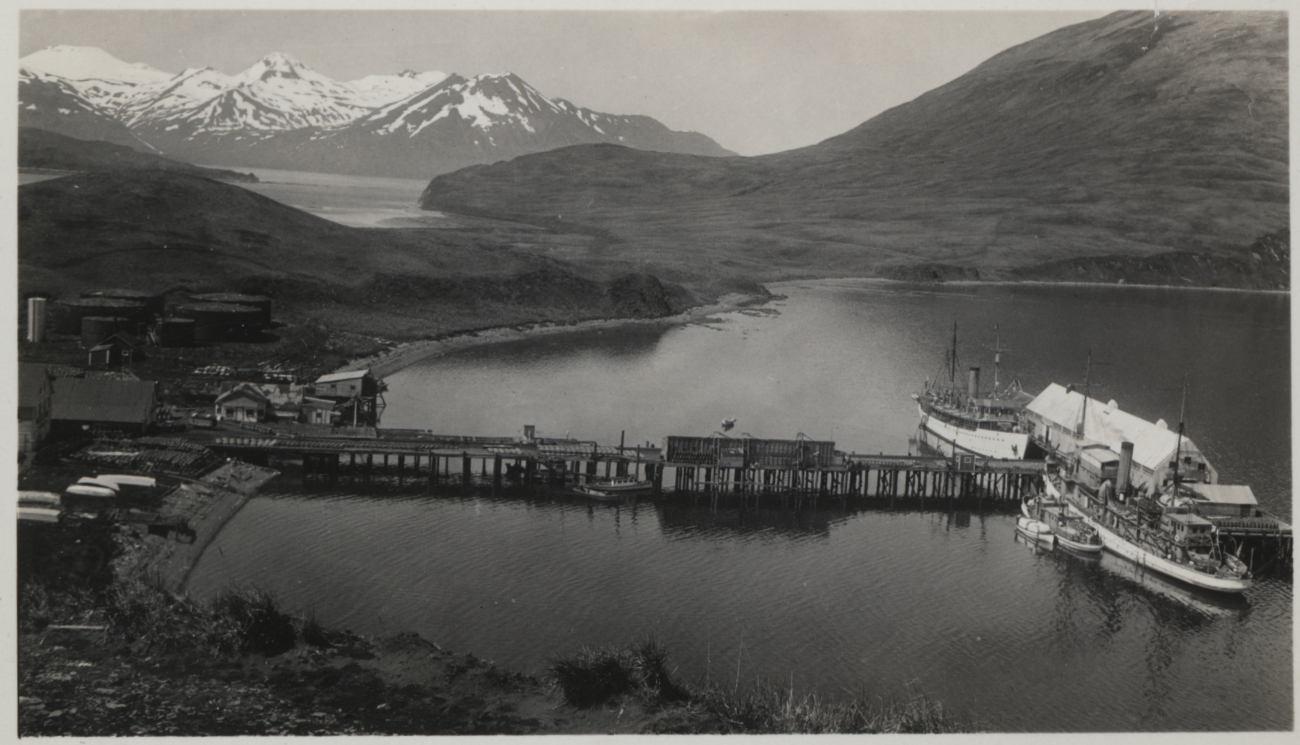 A view of the harbor of Dutch Harbor (Image credit: Collection of Vice Admiral H. Arnold Karo) A view of the harbor of Dutch Harbor