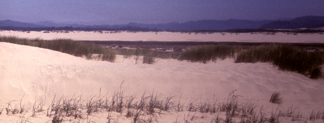 Sand dunes and mountains line4354.jpg Sand dunes and mountains