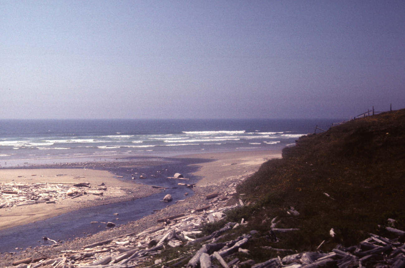Beach with stream debouching in the ocean (Image credit: NOAA Central Library Historical Collections) Beach with stream debouching in the ocean