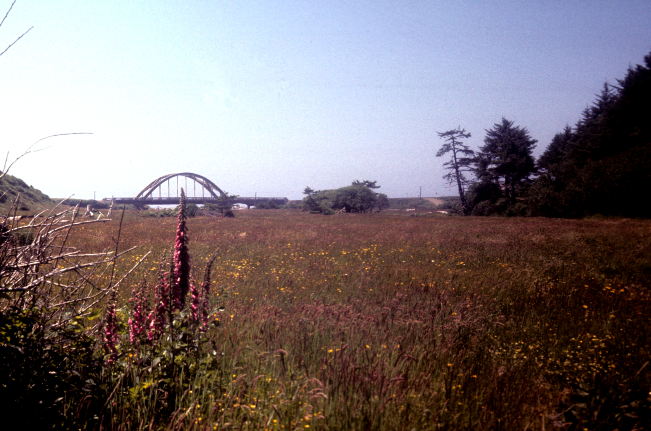 Looking toward the coast and a highway bridge from a wildflower bedecked meadow (Image credit: NOAA Central Library Historical Collections) Looking toward the coast and a highway bridge from a wildflower bedecked meadow