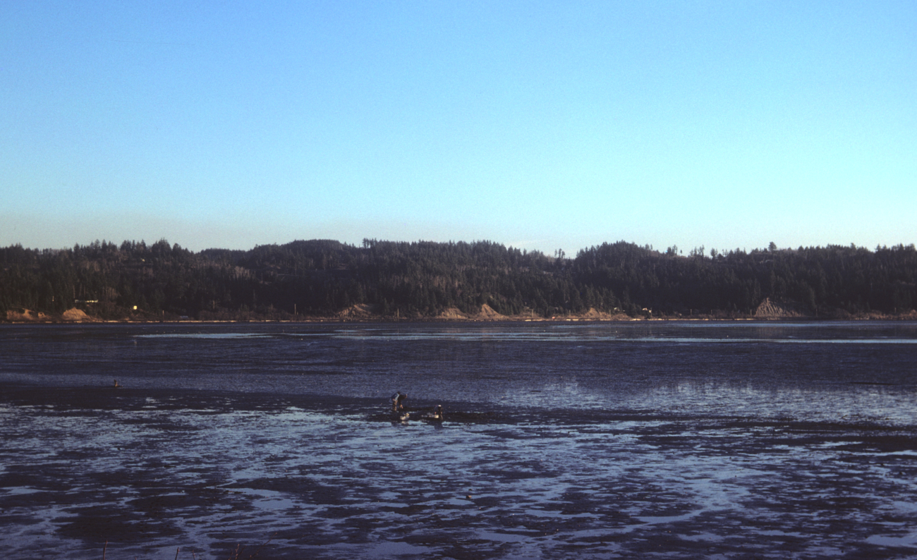 Mud flats and clammers at low tide (Image credit: NOAA Central Library Historical Collections) Mud flats and clammers at low tide