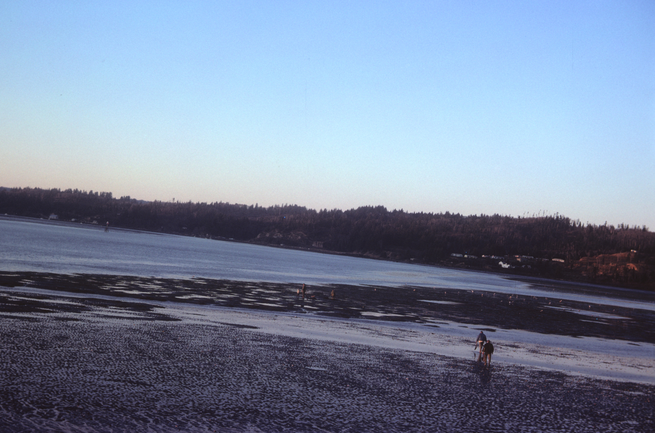 Mud flats and clammers at low tide (Image credit: NOAA Central Library Historical Collections) Mud flats and clammers at low tide