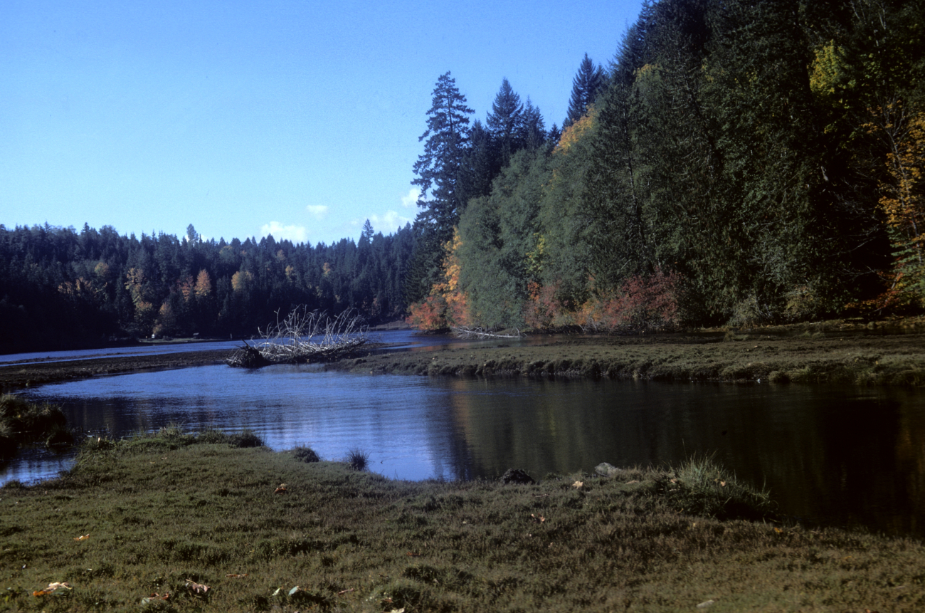 Tidal inlet in fall