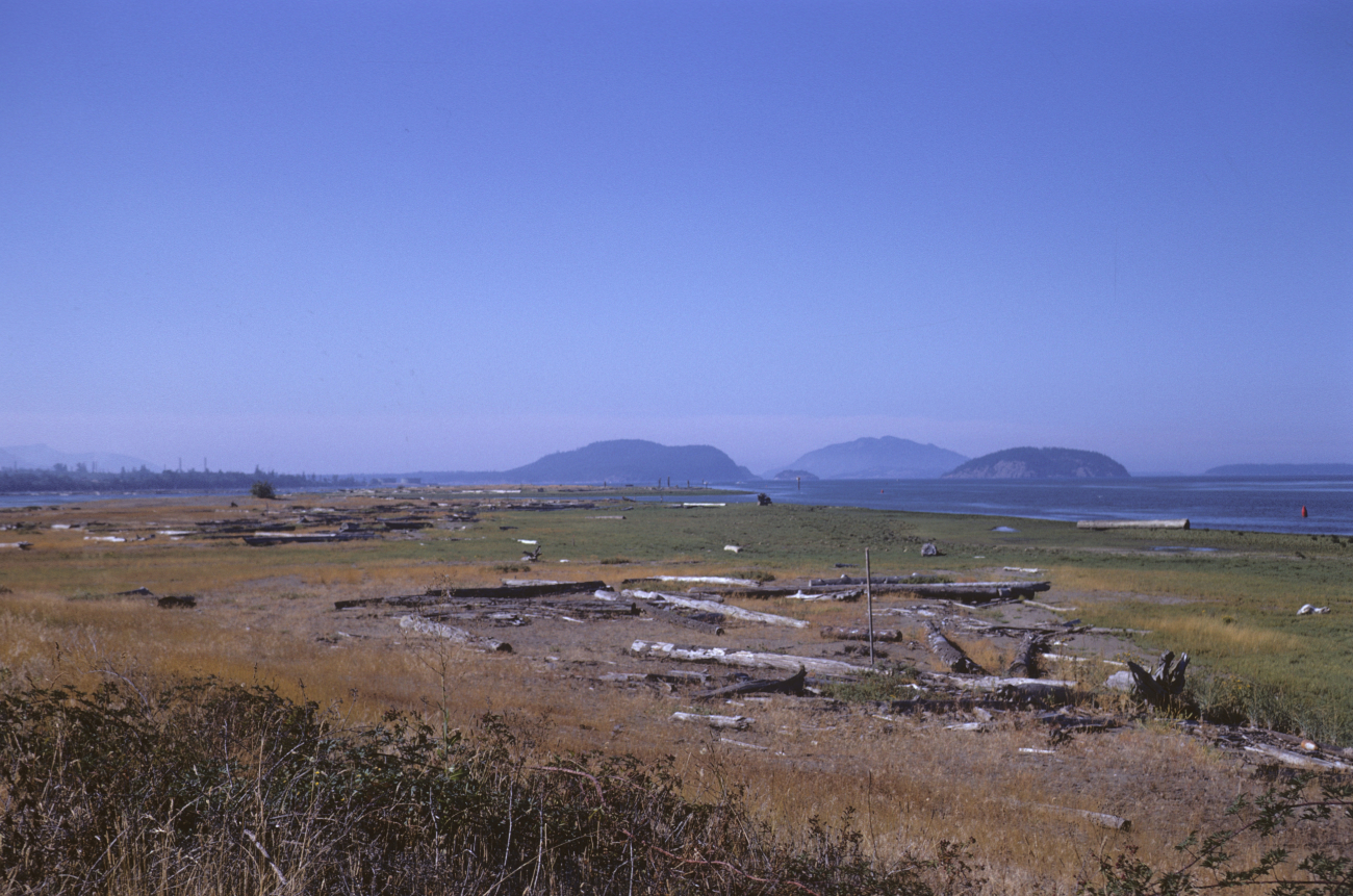 Shallow bay with driftwood strewn marshland (Image credit: NOAA Central Library Historical Collections) Shallow bay with driftwood strewn marshland