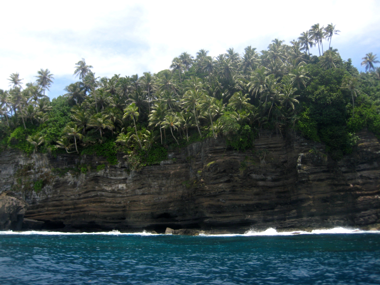 Cliffs and palm trees at Larsen's Bay (Image credit: Dr. Matt Kendall) Cliffs and palm trees at Larsen's Bay